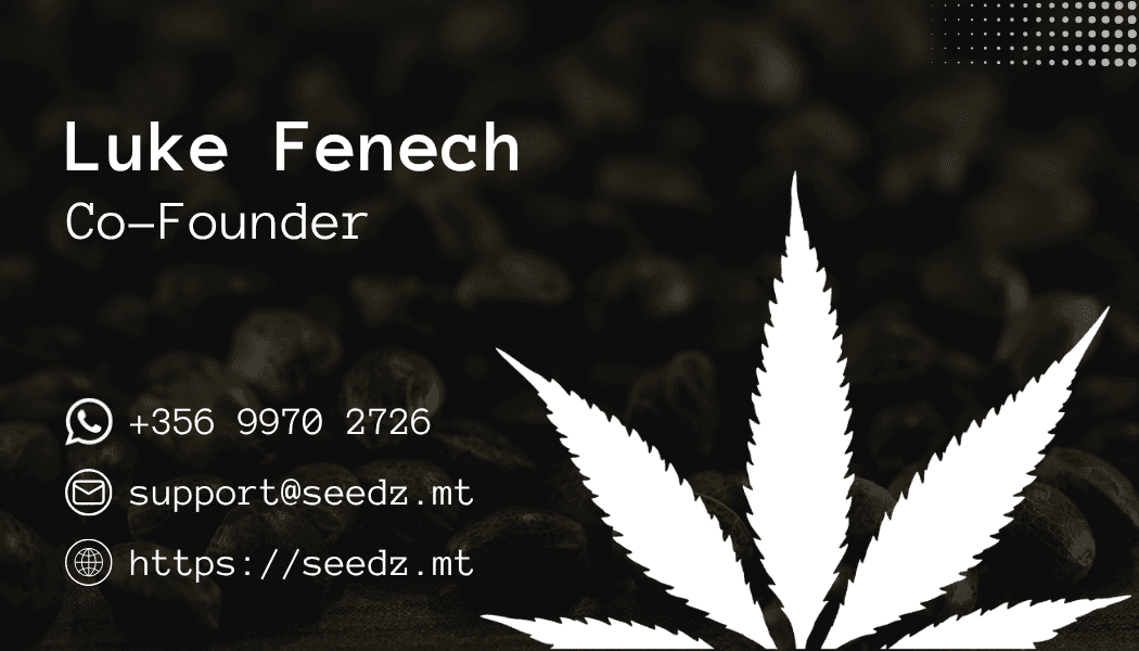 Seedz business card — back