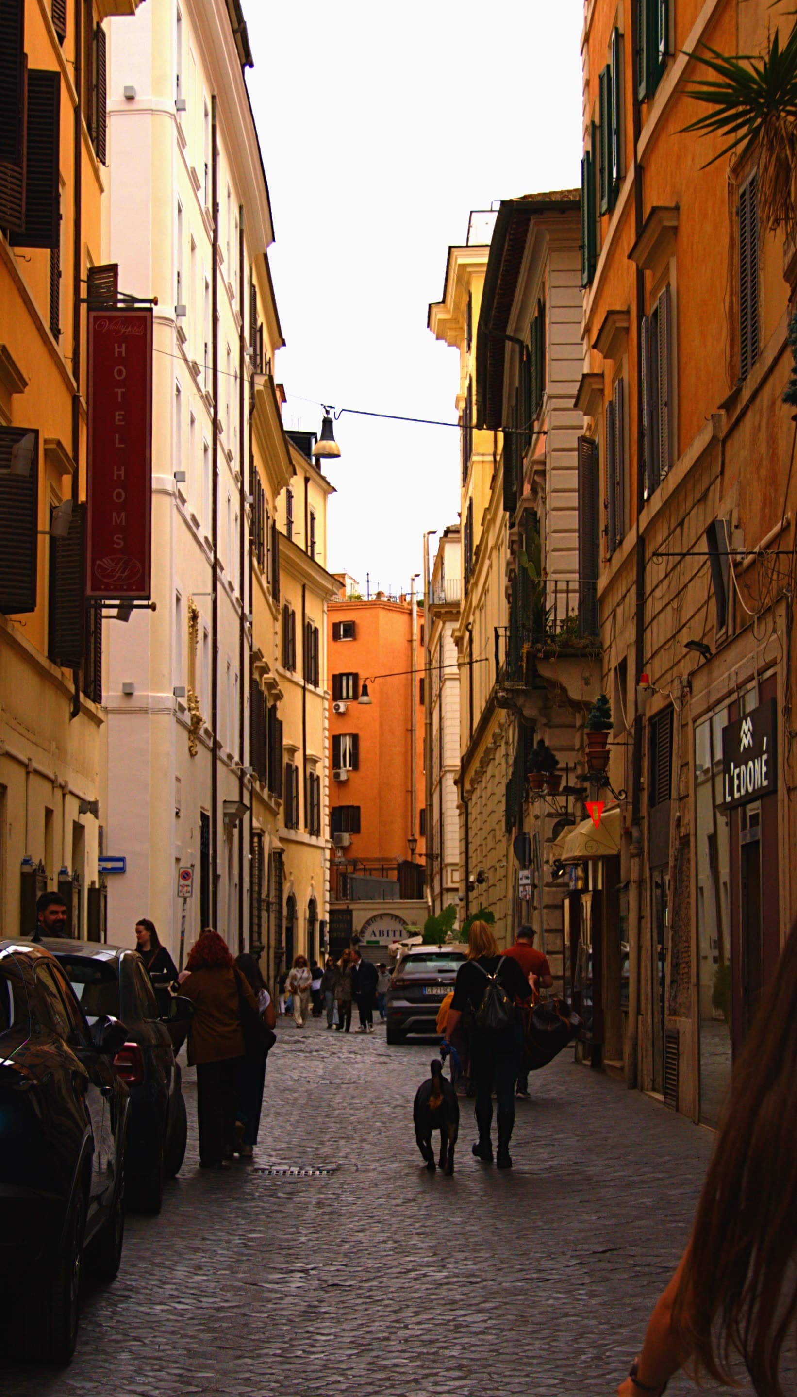 Streets/DSC09415