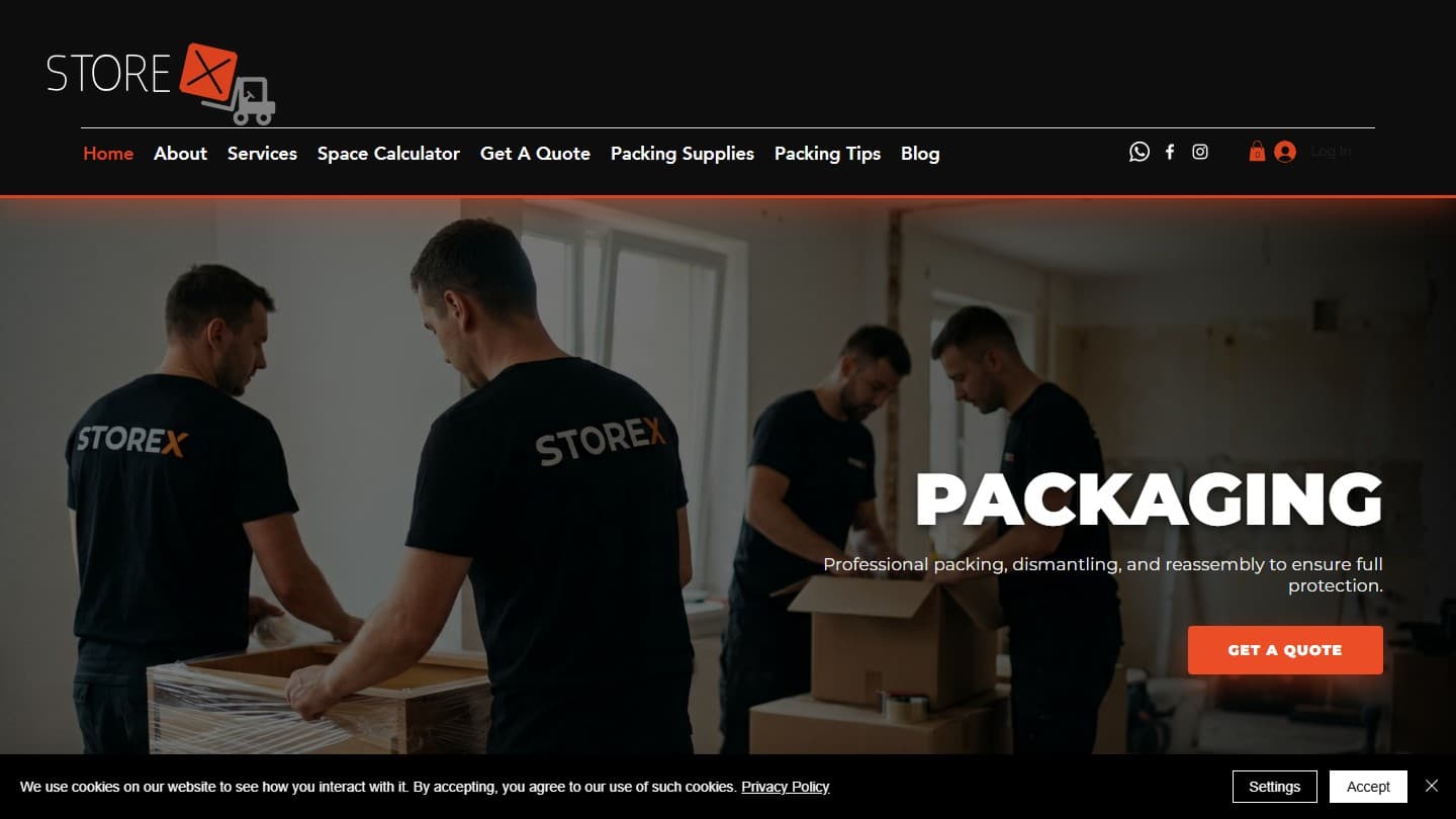 Storex website preview